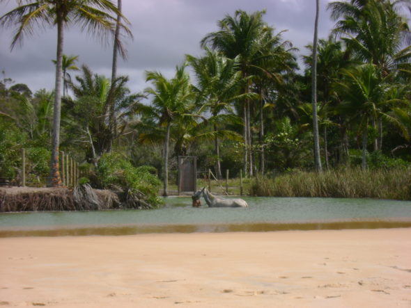 Travessia Arraial Trancoso