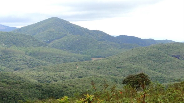 Estrada para Lavras Novas