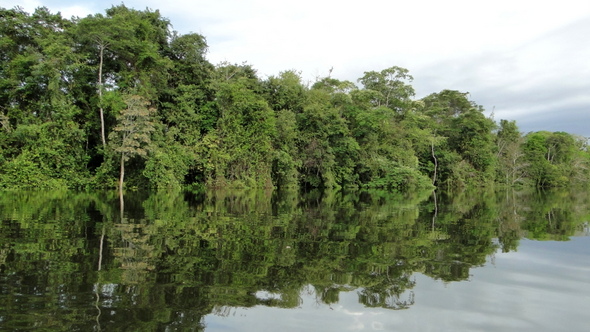 Reserva Mamirauá