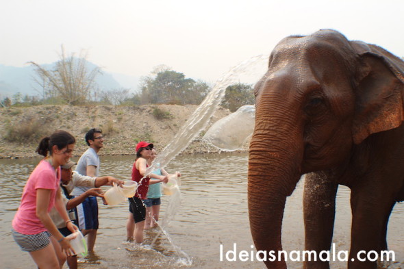 Turistas no Elephant Nature Park