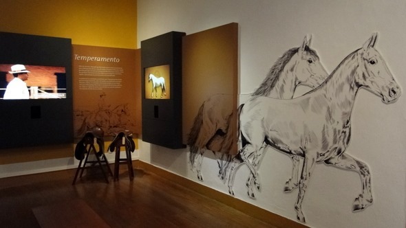 Desenho do cavalo Mangalarga – Foto de Museu Nacional do Cavalo Mangalarga  Marchador, Cruzília - Tripadvisor
