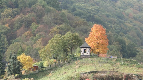 Outono em Cochem