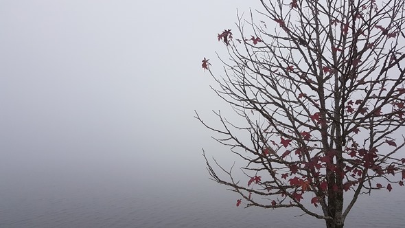 Lago São Bernardo num dia de neblina