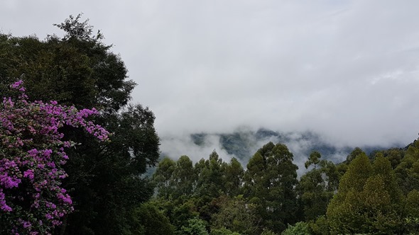 Hotel Jardins da Colina, em Nova Petrópolis