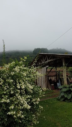 Propriedade da Família Lazaretti