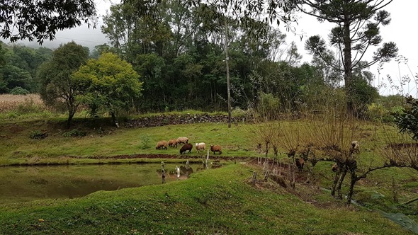 Propriedade da Família Lazaretti