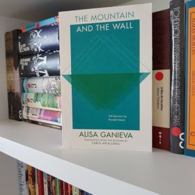 The Mountain and the Wall - Alisa Ganieva
