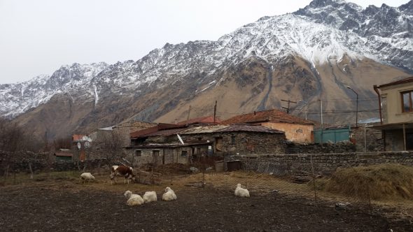 Kazbegi