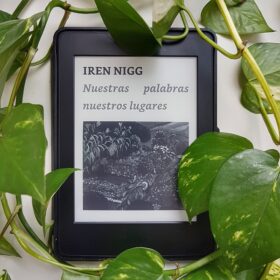 Nuestras palabras nuestros lugares - Iren Nigg