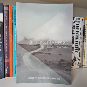 Knitting the Fog - Claudia D. Hernández