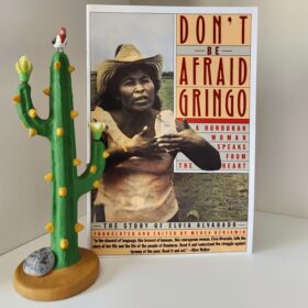 Don’t Be Afraid, Gringo - Elvia Alvarado